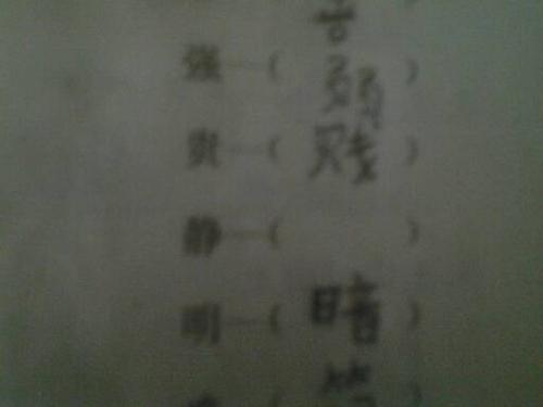 动的反义词是什么字