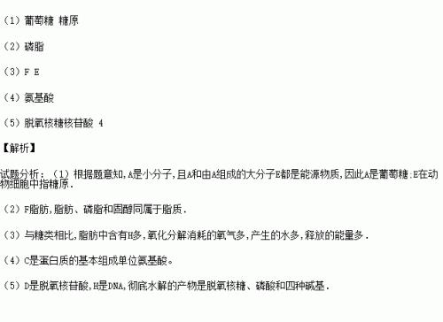 五核有机物是什么意思