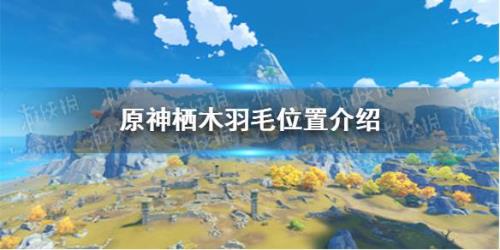 原神最后一个栖木机关