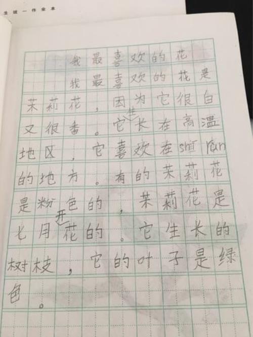 植物象征意义小练笔50字