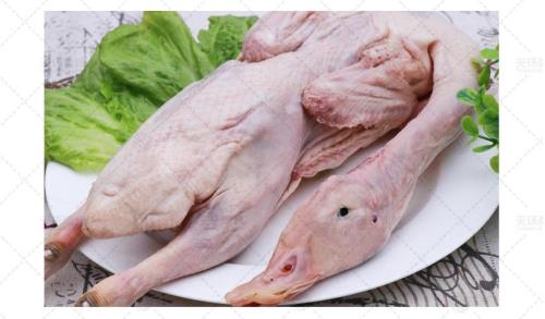 华英麻鸭能吃吗