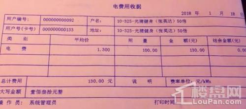 广东1.3元一度电合理吗