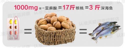 坚果dha排行榜