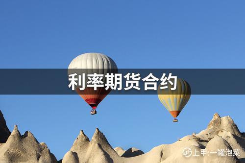 短期利率指的是什么呢