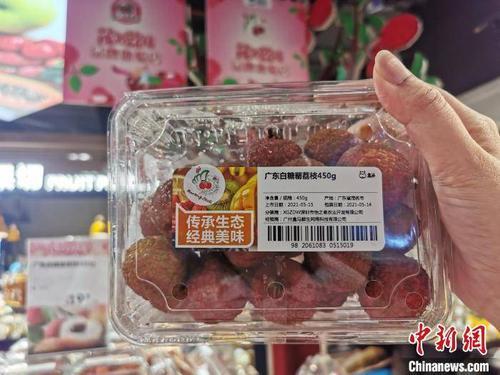 龙兰荔枝原产地
