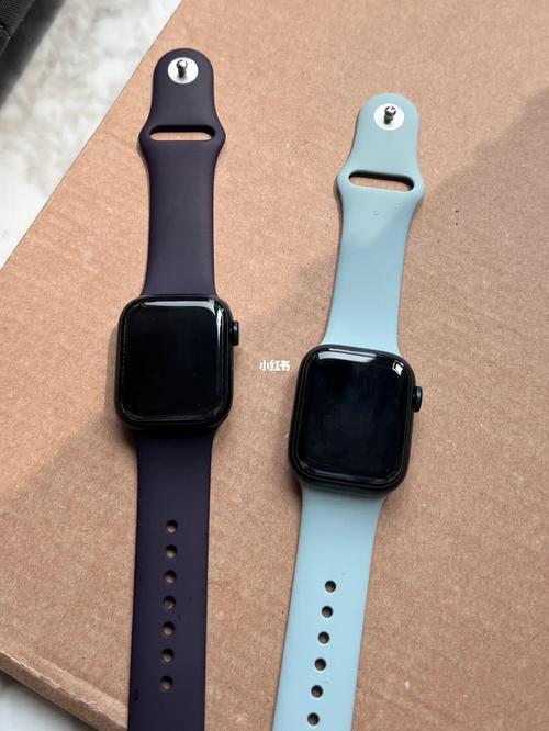 applewatchs8丢了可以找吗