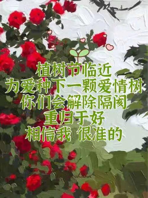 情侣种什么树好，多举几个