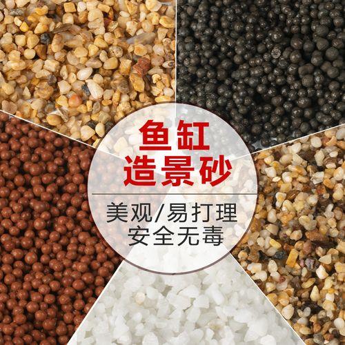 鱼缸里面的陶粒可以种多肉吗