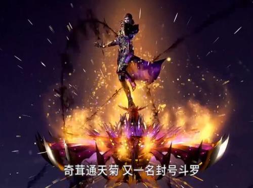 斗罗大陆我的武魂是