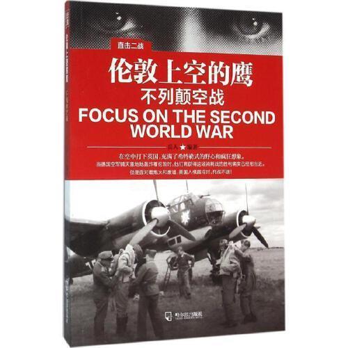 伦敦上空的鹰介绍