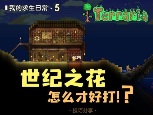 泰拉瑞亚世纪之花多久刷新一次