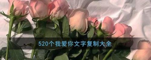 一万个我爱你歌词含义是什么