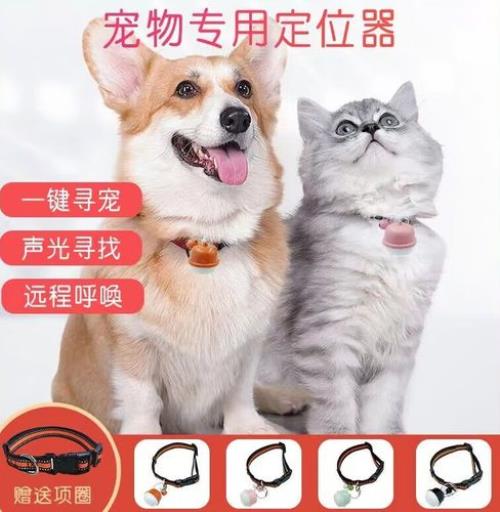 倍彼宠物定位器使用方法