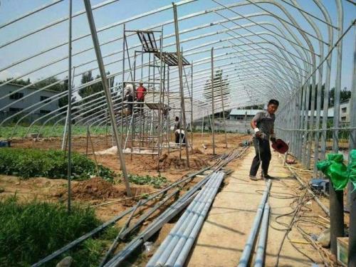 20米跨度大棚拉绳技巧