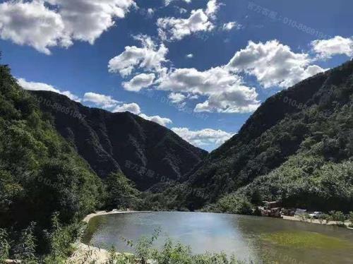 广东九公山什么特产