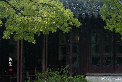 听雨倾风的意思