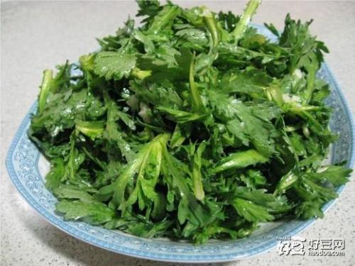 茼蒿为什么是菊花
