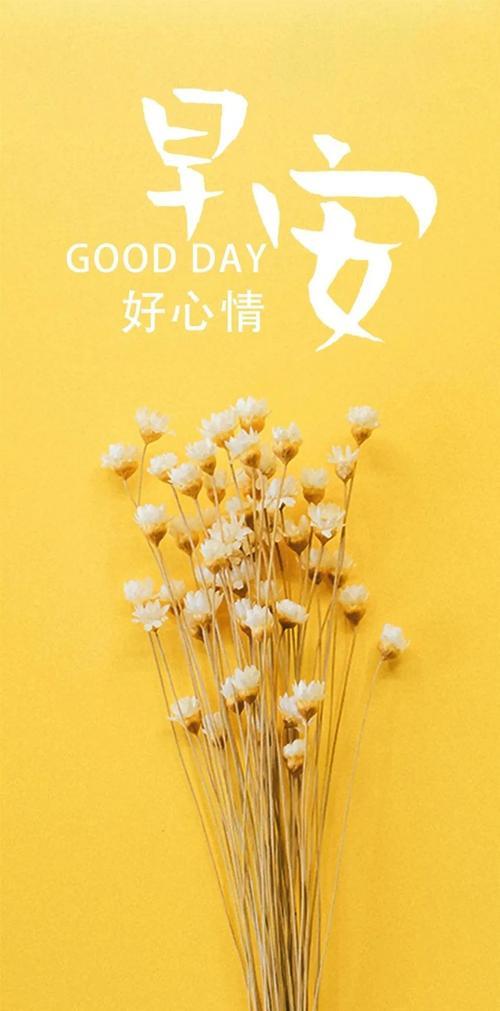 早安朋友原著