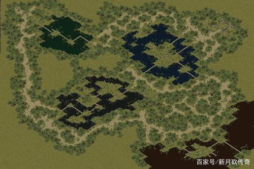 黄泉教主在骨魔洞五层哪个位置