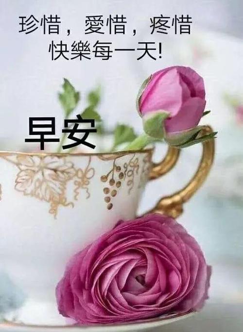 能复制的早安问候语