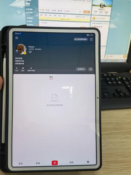 苹果ipad10怎么下载东西