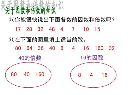 2017的因数有哪些