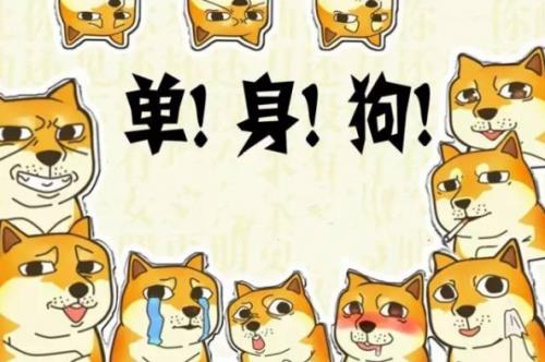 七夕调侃朋友幽默句子