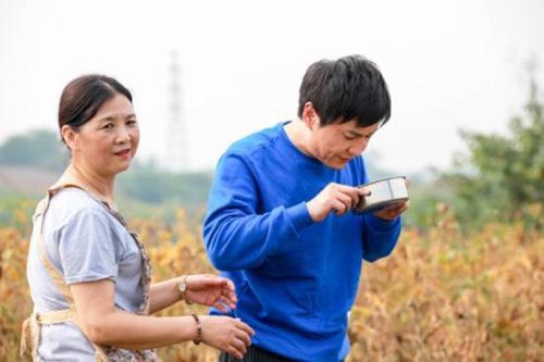 入赘男怎么称呼岳母