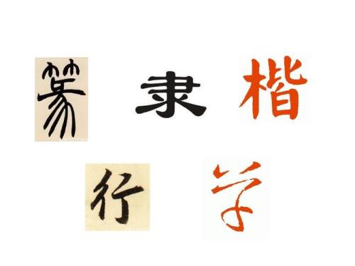 有是什么结构的字