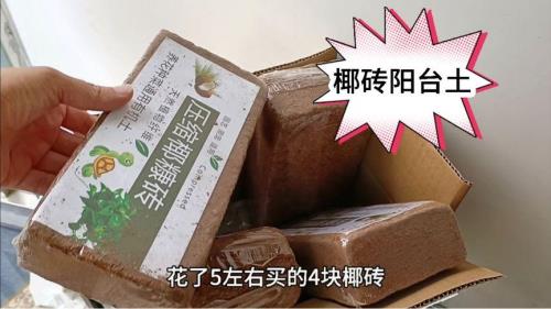 椰砖好还是免泡的好