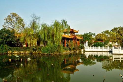 武汉最大公园