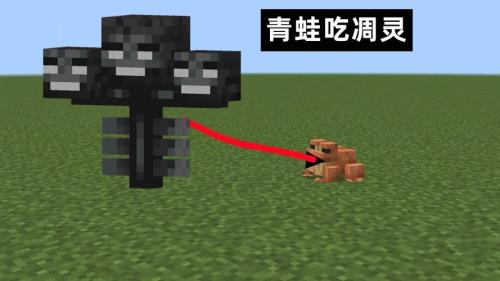 我的世界为什么没有青蛙
