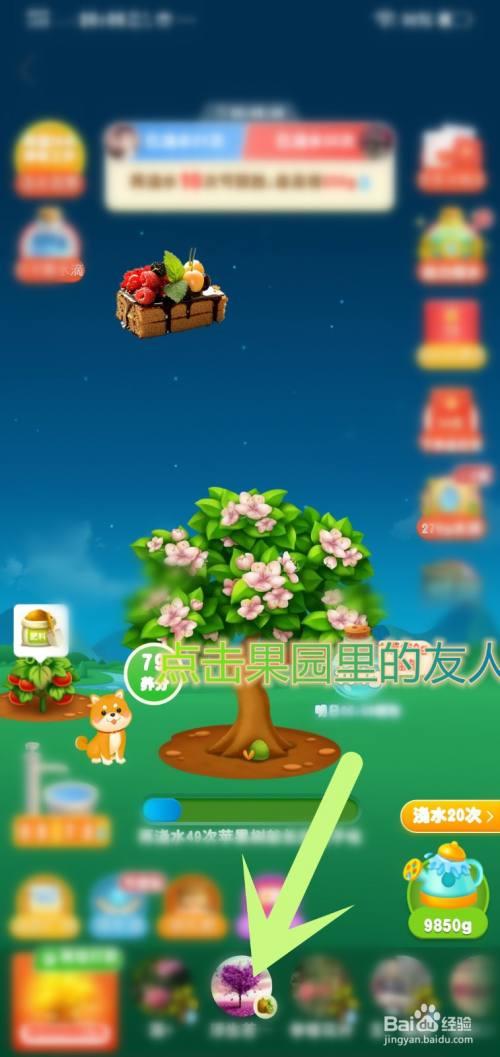 多多果园种的果子怎么不见了