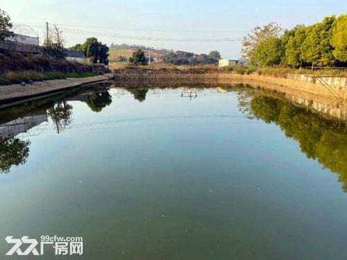 人工挖鱼塘一个人一亩地要多久