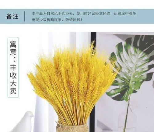 大卖大卖啥意思