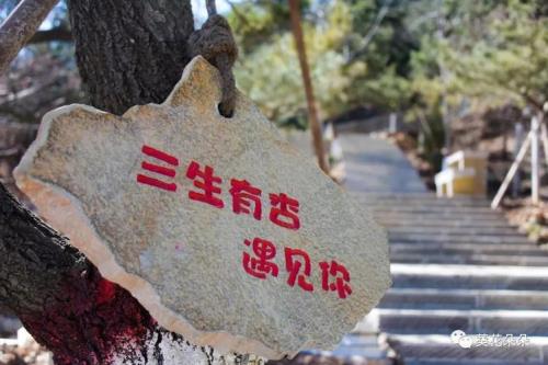 遵化壹谷要门票吗