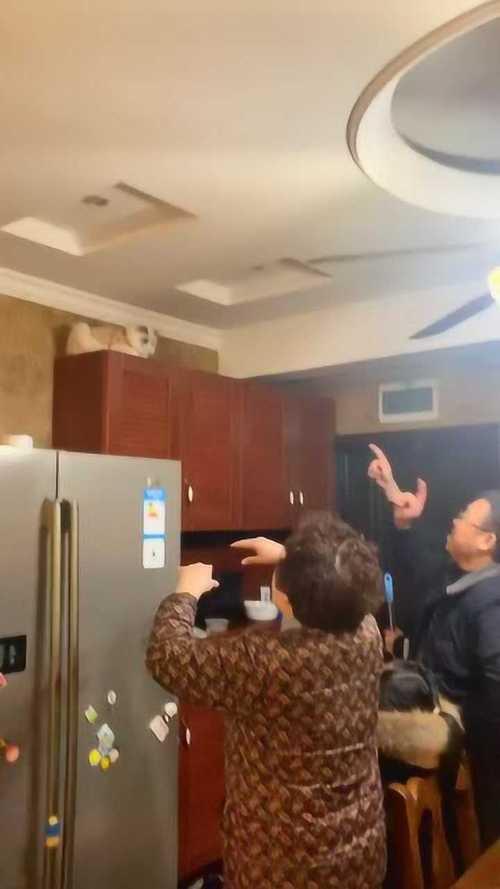关疯了什么意思