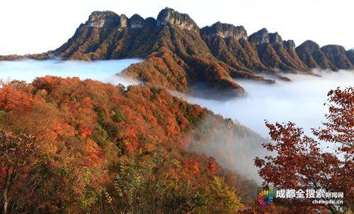 米仓山红叶用什么镜头