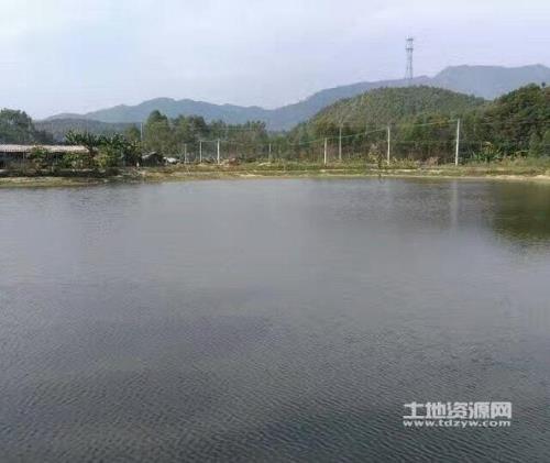 广东省鱼塘一般多少钱一亩租金