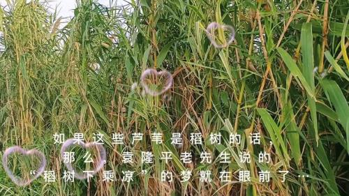 多年以后可曾为我伤怀什么意思