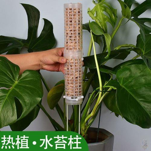 绿萝杆与柚子杆通用吗