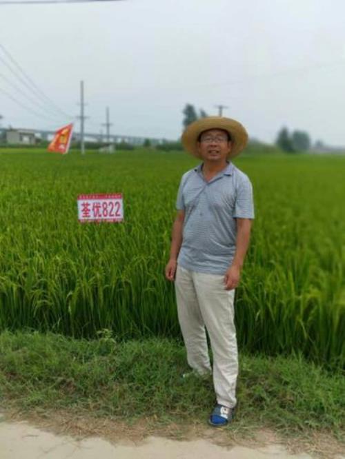 荃优596品种介绍