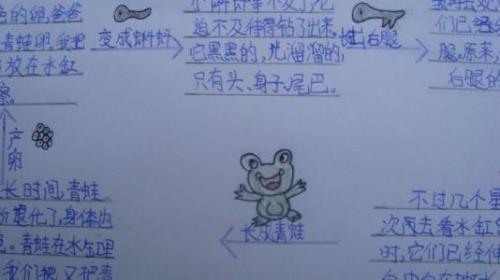 小时候叫蝌蚪长大叫青蛙仿写