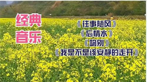 吻别和忘情水哪个出名