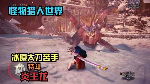 怪物猎人世界炎王龙票哪里打