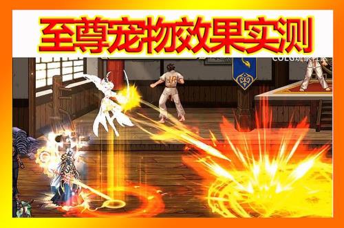 dnf年宠