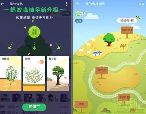 蚂蚁森林找能量时多时少