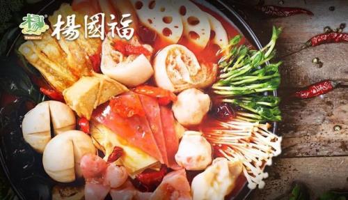 杨国福是什么