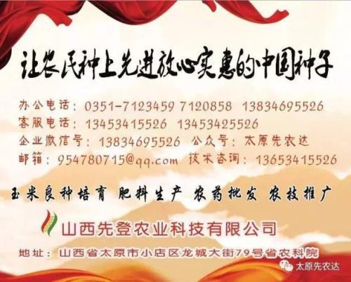 东单1316与先丰1316是一个品种吗