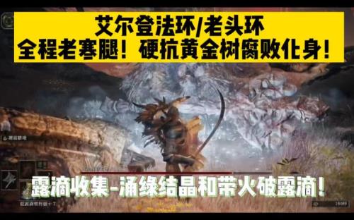 艾尔登法环怎么激活黄金树之盾